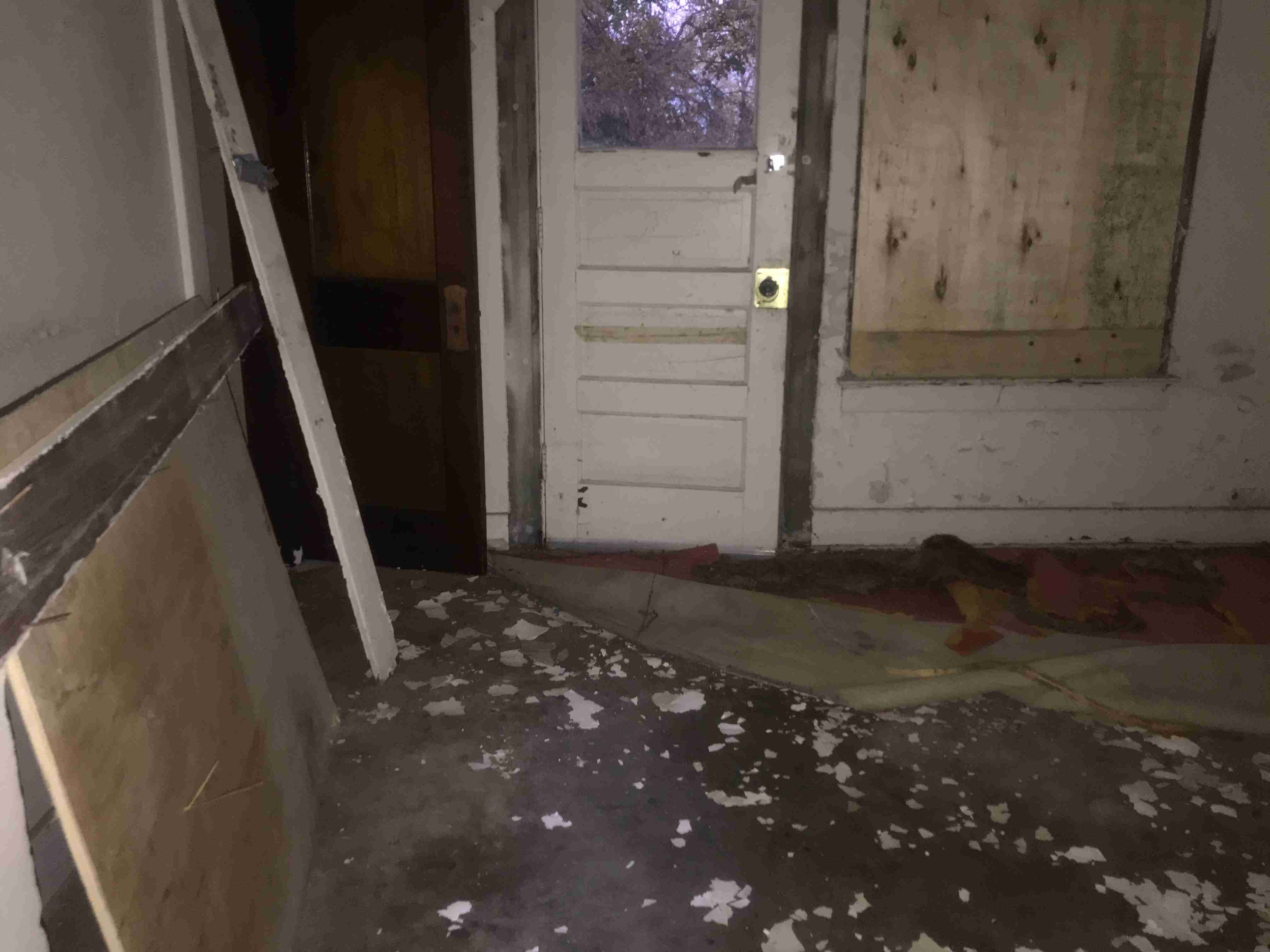 Photo Nov 04, 5 31 33 PM.jpg